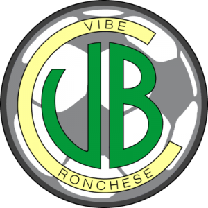 Logo VIBE 2